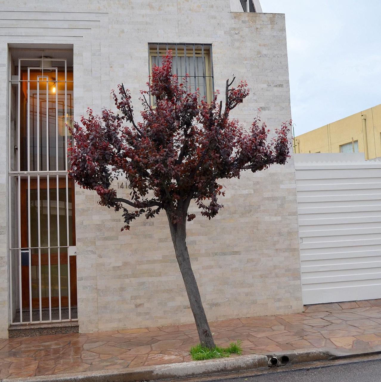 Via Lavalle Apartment
